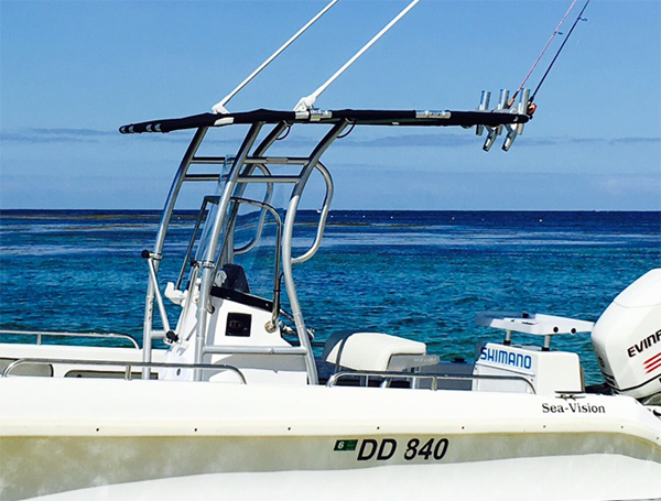 Promotie! Dolphin Pro2 Middenc - Fishing Rod Holder recensie en prijs